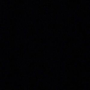 Meet your Posher, Audrey